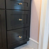 Lucite and Satin Brass "Luz" Drawer Pulls and Cabinet Knob - Forge Hardware Studio
