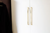 Unlacquered Polished Brass "Lumia" Cabinet Knob and  Drawer Pulls - Forge Hardware Studio